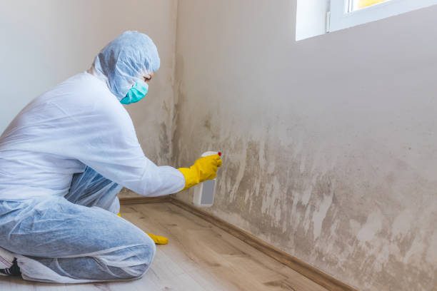 Crawl Space Mold Remediation treatment of floor joists in Ashland